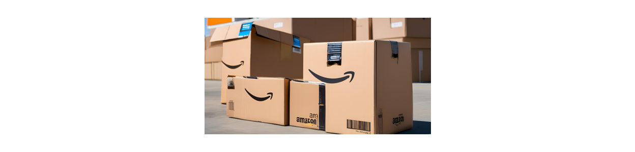 Która Paleta Amazon jest najlepsza??