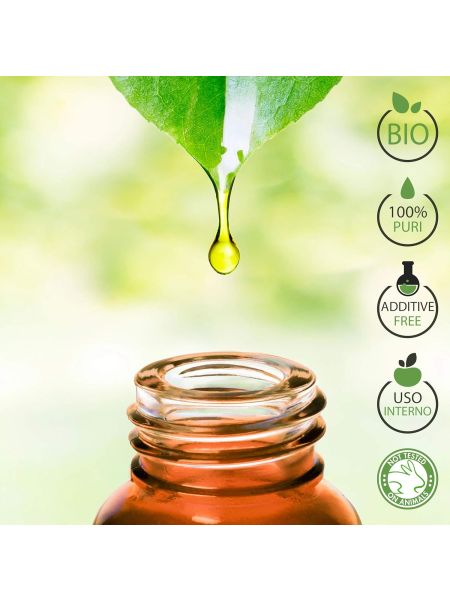 Eukaliptusowy Olejek Eteryczny Bio - 100% Czysty i Naturalny 10 ml - 3