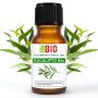 Eukaliptusowy Olejek Eteryczny Bio - 100% Czysty i Naturalny 10 ml - 2